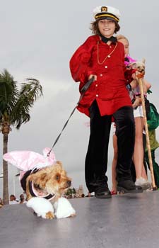 Pet Masquerade and Parade 2007 photo - Duval Street, Key West